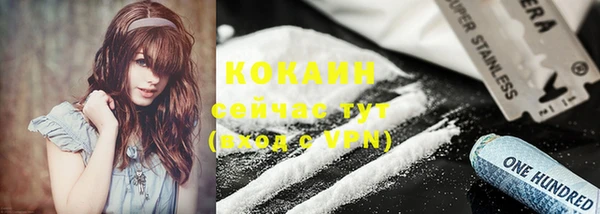 гашик Козельск