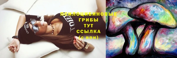 гашик Киреевск
