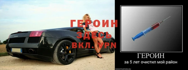 гашик Козельск
