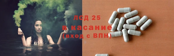 гашик Козельск