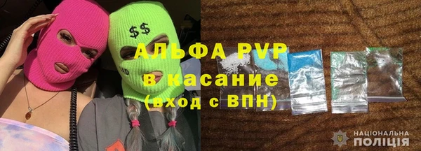 гашик Козельск