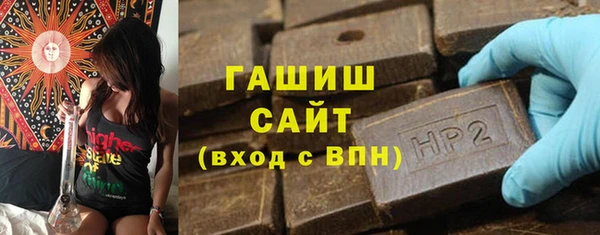 гашик Козельск