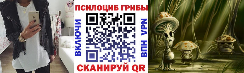 Галлюциногенные грибы прущие грибы  Кировград 