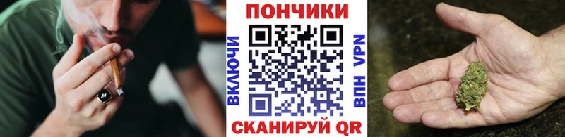 Бошки Шишки планчик Кировград