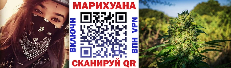 где продают   Кировград  Бошки марихуана White Widow 